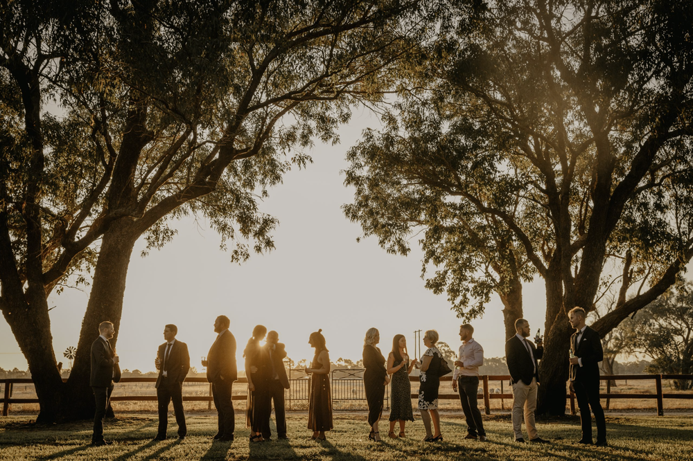 Mardella Meadows wedding venue
